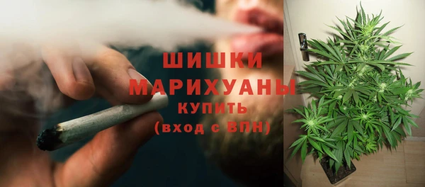 первитин Богородск