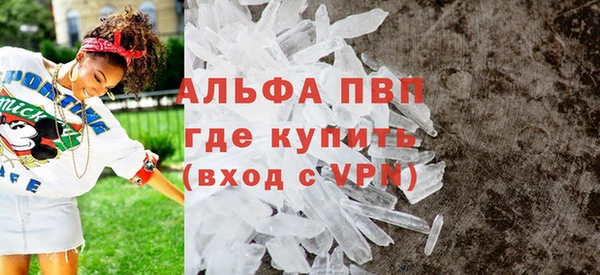 ECSTASY Богданович