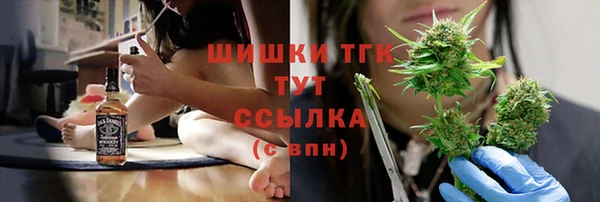 прущий лед Богородицк