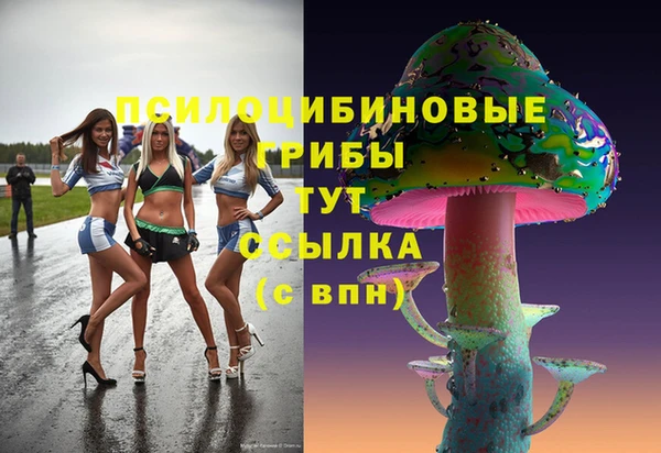 тгк Бугульма