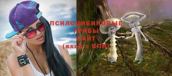 ECSTASY Богданович
