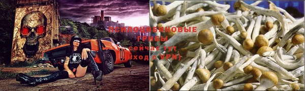 прущий лед Богородицк