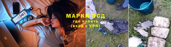 ECSTASY Богданович