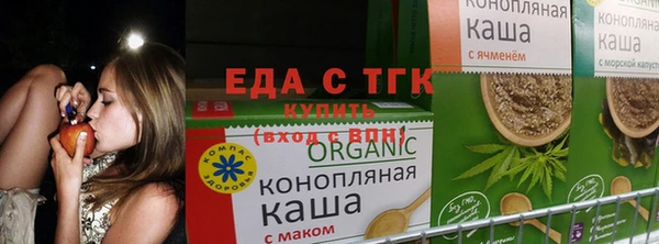 скорость Бородино