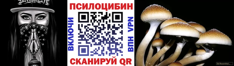 нарко площадка какой сайт  Кимры  Галлюциногенные грибы MAGIC MUSHROOMS  наркота 